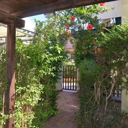 Fpo-fio06pt Delizioso Bilocale 4 Pax Con Veranda Apartman Porto Ottiolu