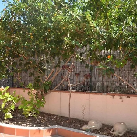 Apartman Fpo-fio06pt Delizioso Bilocale 4 Pax Con Veranda *