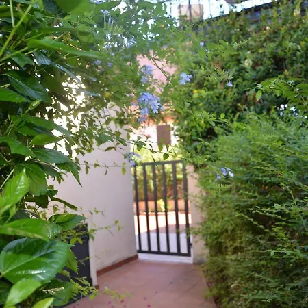 Fpo-fio06pt Delizioso Bilocale 4 Pax Con Veranda Apartment