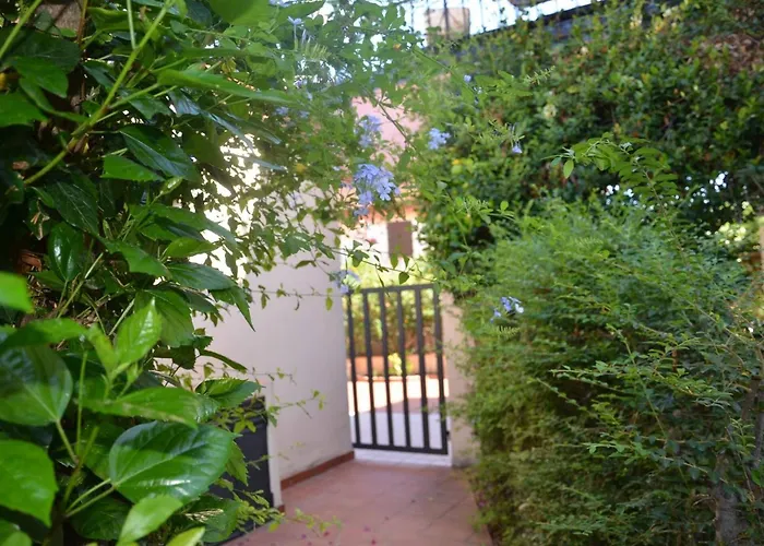 Fpo-fio06pt Delizioso Bilocale 4 Pax Con Veranda Apartment