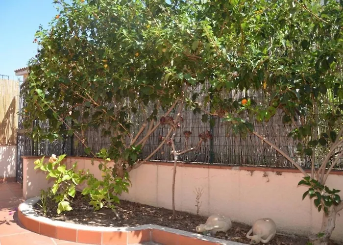 Apartment Fpo-fio06pt Delizioso Bilocale 4 Pax Con Veranda *